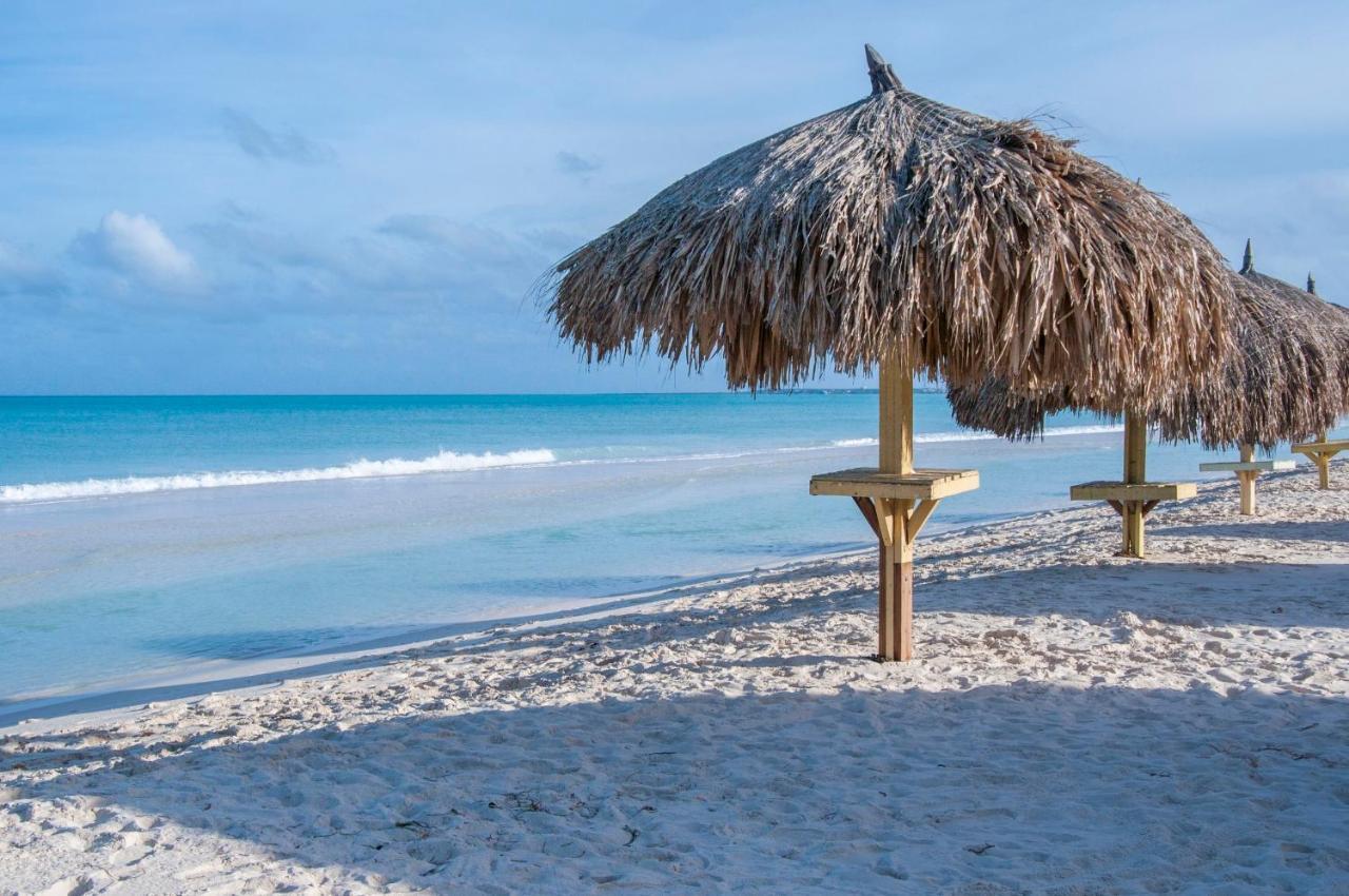 פאלם ביץ' Yoyita Suites Aruba Villa מראה חיצוני תמונה