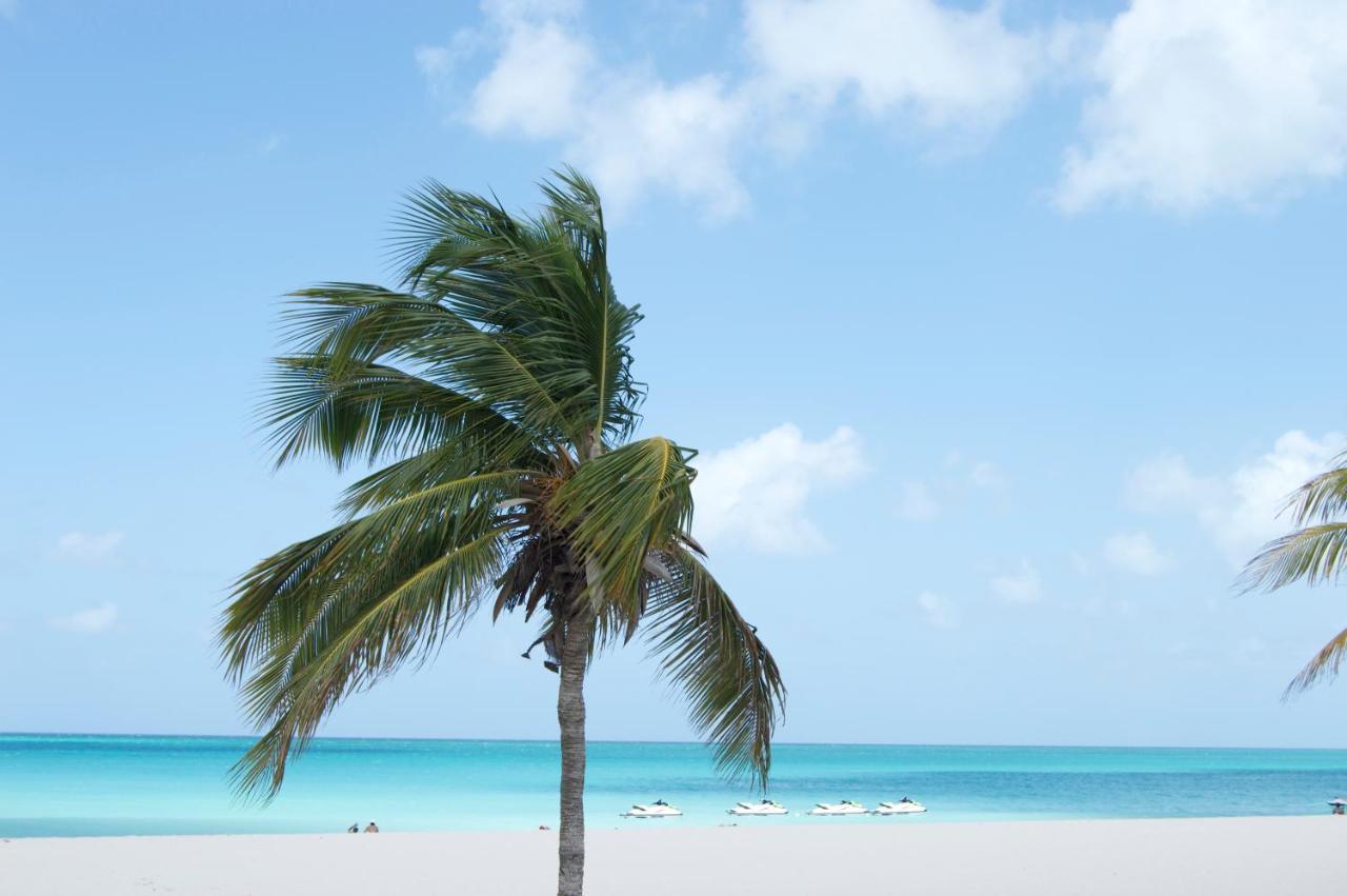 פאלם ביץ' Yoyita Suites Aruba Villa מראה חיצוני תמונה
